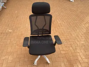 Mesh Ergonomic Office Chair