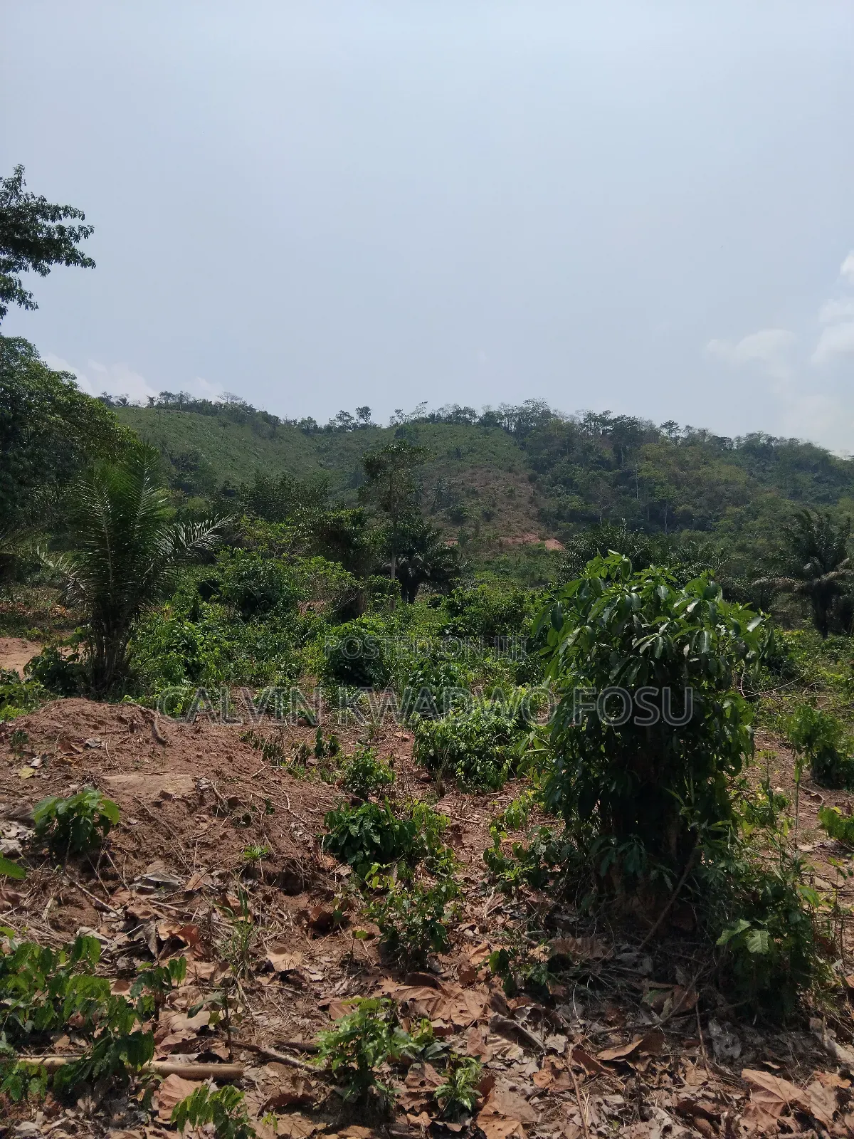 Registered Plot of Lands at Mamfe Akuapim on Koforidua Road