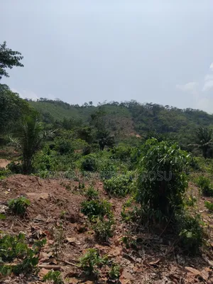 Registered Plot of Lands at Mamfe Akuapim on Koforidua Road