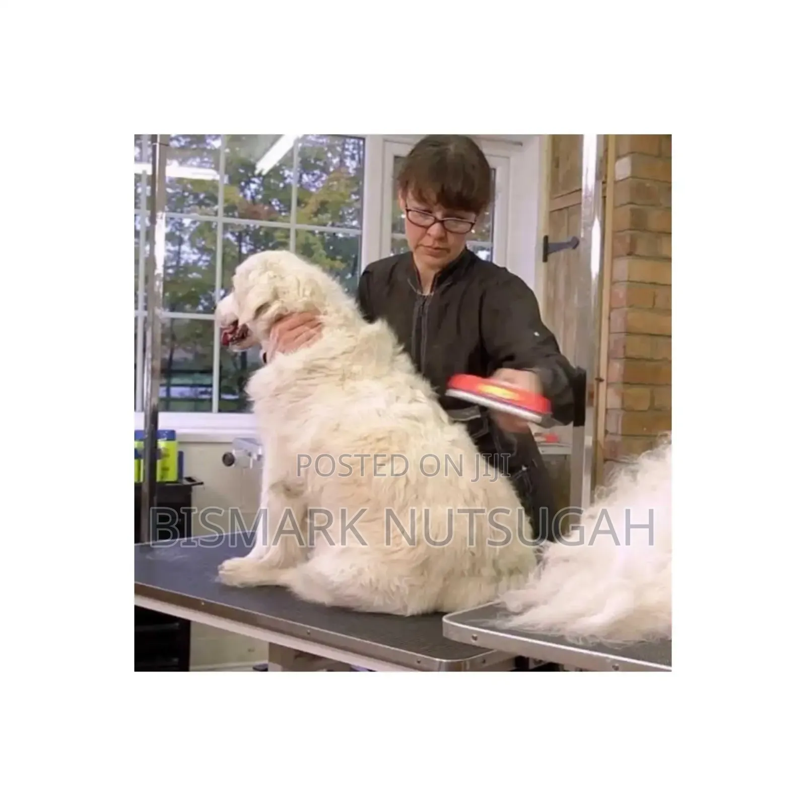 Dogs/Cats Hair Removal Tools
