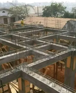 Construction Service With Experienced Team
