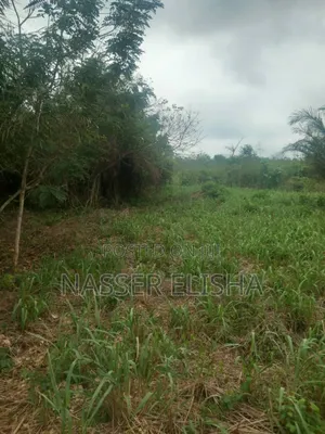 10 Plots for Sale by Mainroad