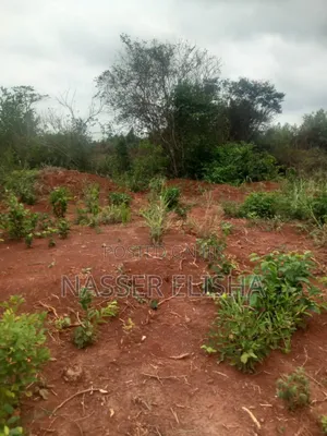 2.5 Acres for Sale by Mainroad