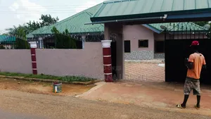 Painting And Walltreatment