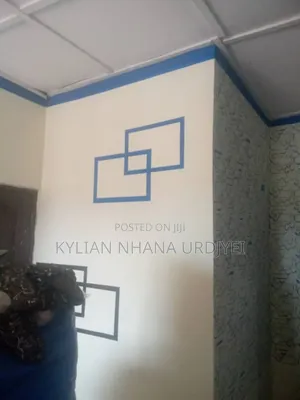 Painting And Walltreatment
