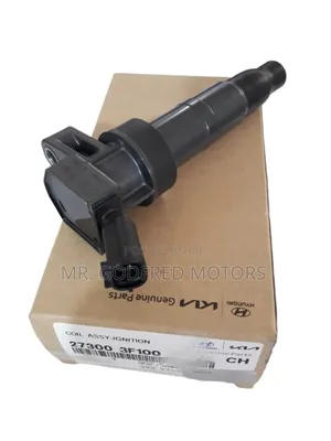 Hyundai Santa Fe 2014 Ignition Coil Pack. Original