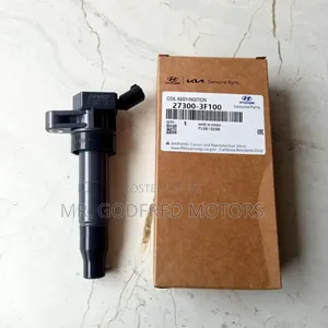 Hyundai Santa Fe 2011-12 Ignition Coil. Original