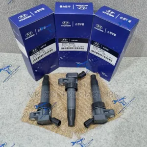 Hyundai Santa Fe 2011-14 Ignition Coil 4 Piece's. Original.