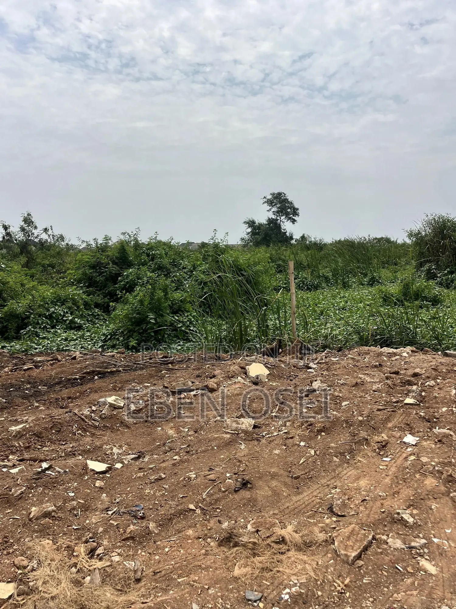 Land for Sale