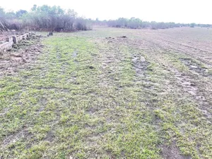 30 Acres of Land for Sale Located at the Dowdowa Road Bawal