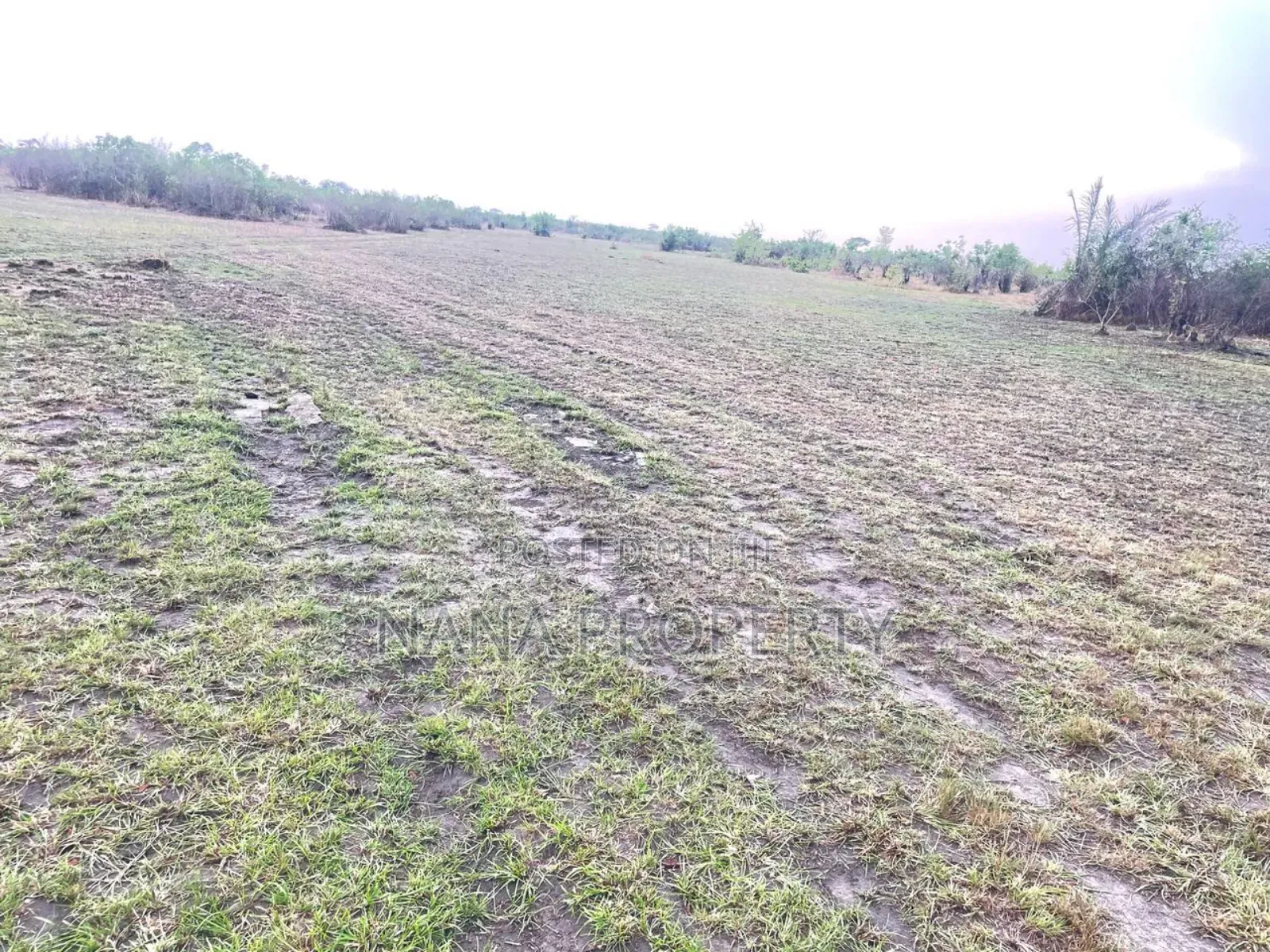 30 Acres of Land for Sale Located at the Dowdowa Road Bawal