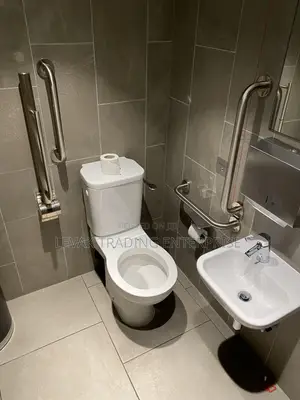 Disabled Watercloset Physical Disabilities Watercloset