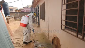 Insect Fear Fumigation With Cleantex