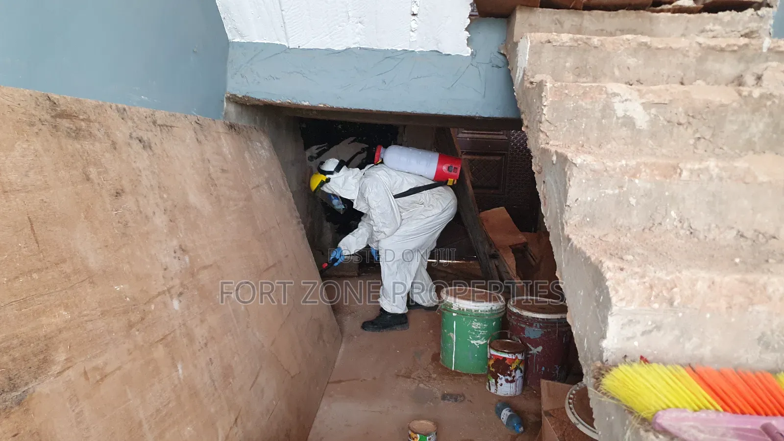 Insect Fear Fumigation With Cleantex