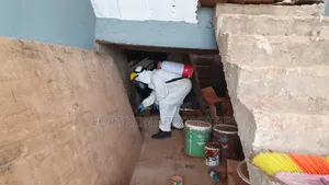 Insect Fear Fumigation With Cleantex