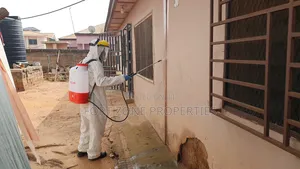 Insect Fear Fumigation With Cleantex