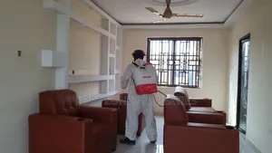 Insect Fear Fumigation With Cleantex