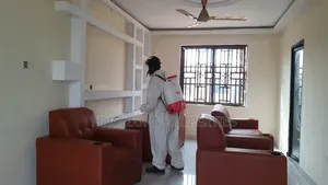 Insect Fear Fumigation With Cleantex