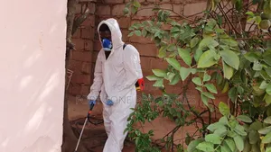 For All Insects and Reptiles Fumigation
