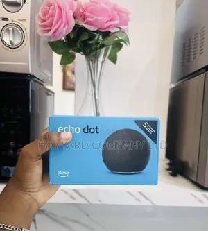 Best-Sounding Echo Dot Yet Bluetooth Speakers