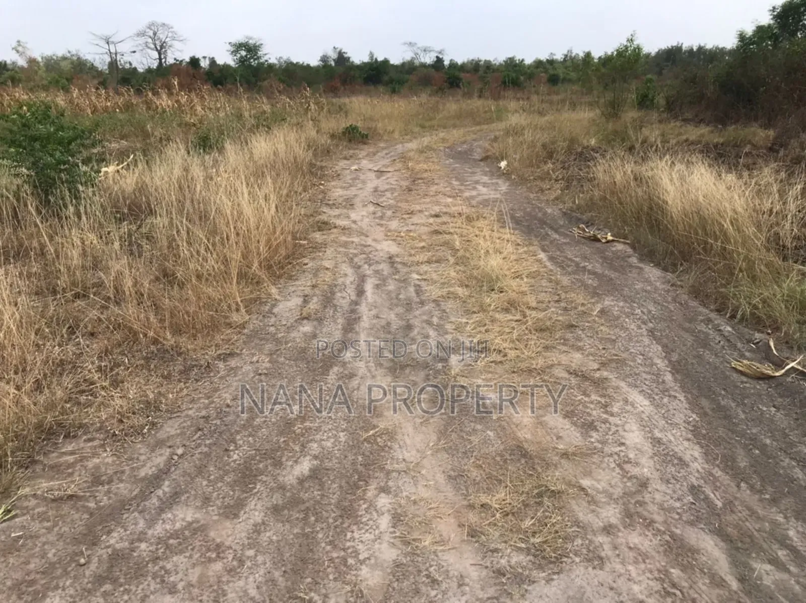 40 Acres of Land for Sale Located Bawaleshie