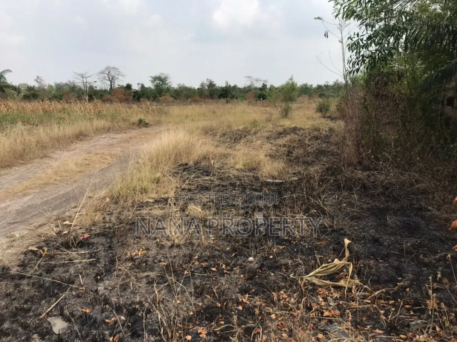 40 Acres of Land for Sale Located Bawaleshie