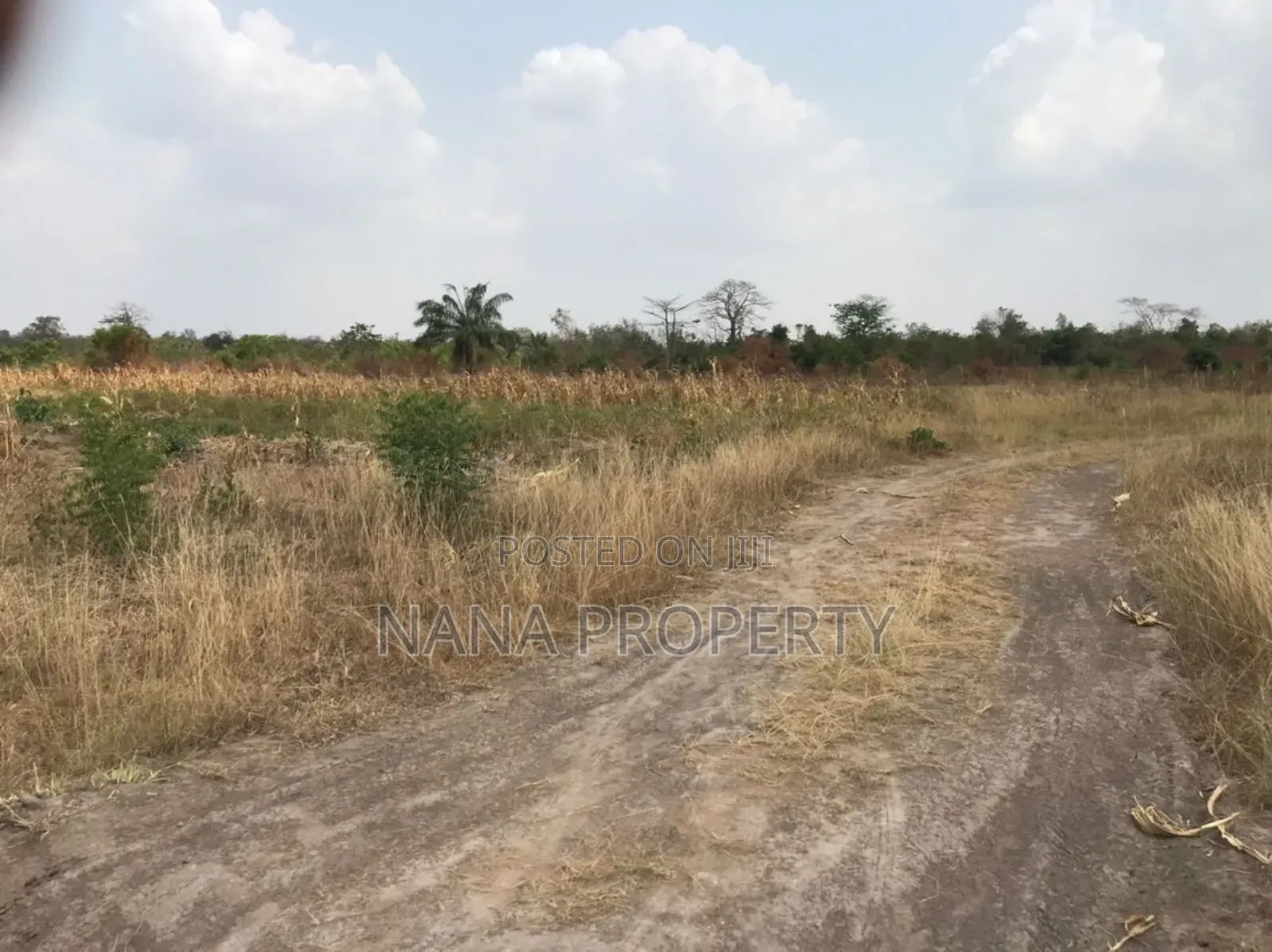 Fifty Acres of Land for Sale Located at Oyibi Bawaleshie