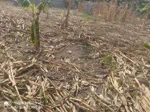 Fifty Acres of Land for Sale Located at Oyibi Bawaleshie