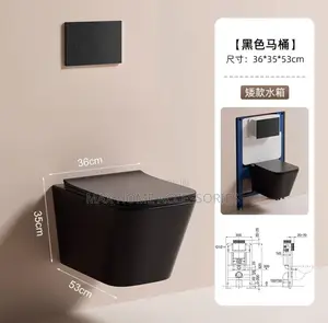 Concealed Black Wc