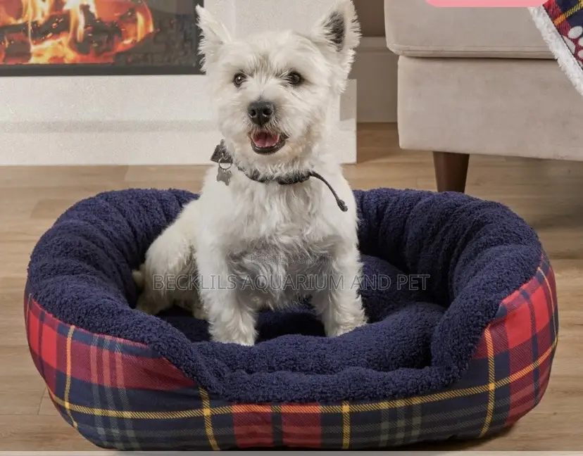 Rectangular Beds for Dogs and Cat