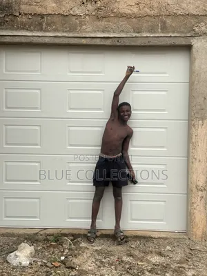 Automated Garage Door With Remote