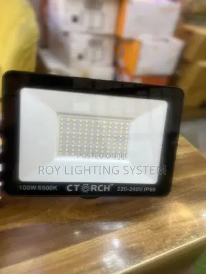 100w Floodlight