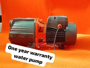 Powerful 1.5hp Leo I Inch Stainless Steel Water Pump