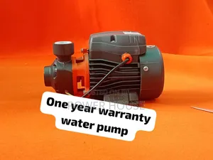 Stainless Steel 1inch Leo Water Water Pump 0.5hp