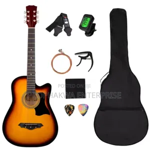 Semi Acoustic Guitar