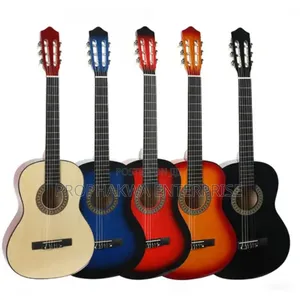 Semi Acoustic Guitar