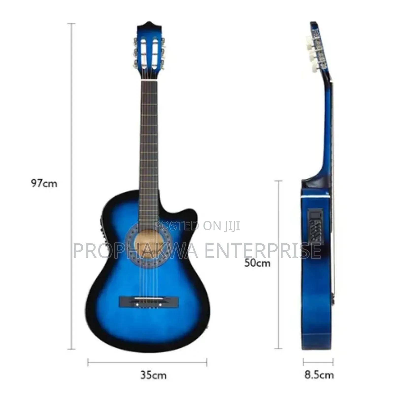 Semi Acoustic Guitar
