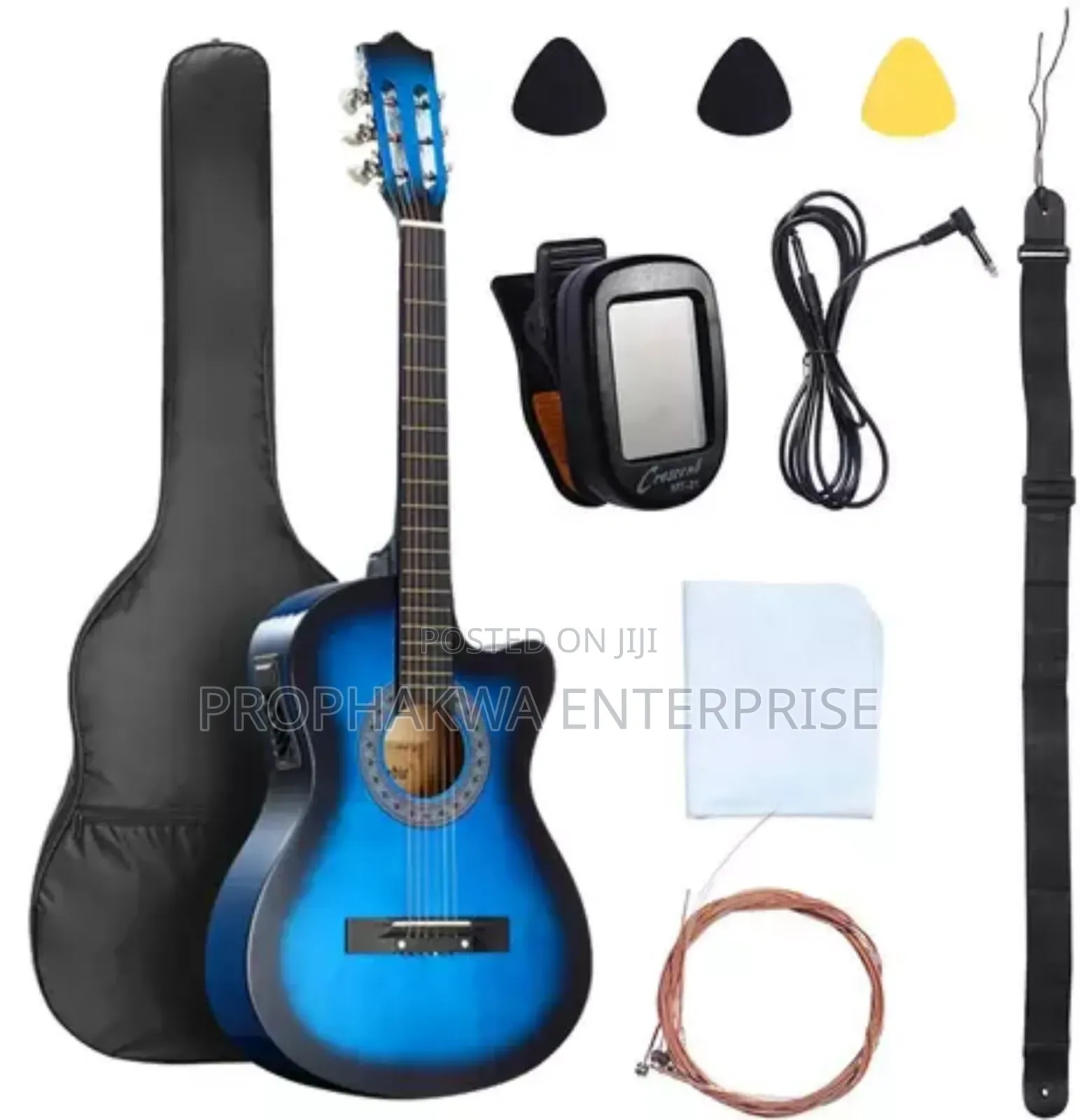 Semi Acoustic Guitar