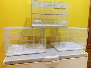 Wide White Bird Cage