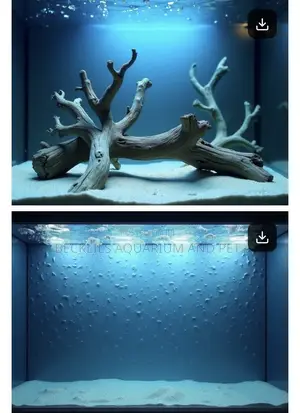 3d Aquarium Back Ground