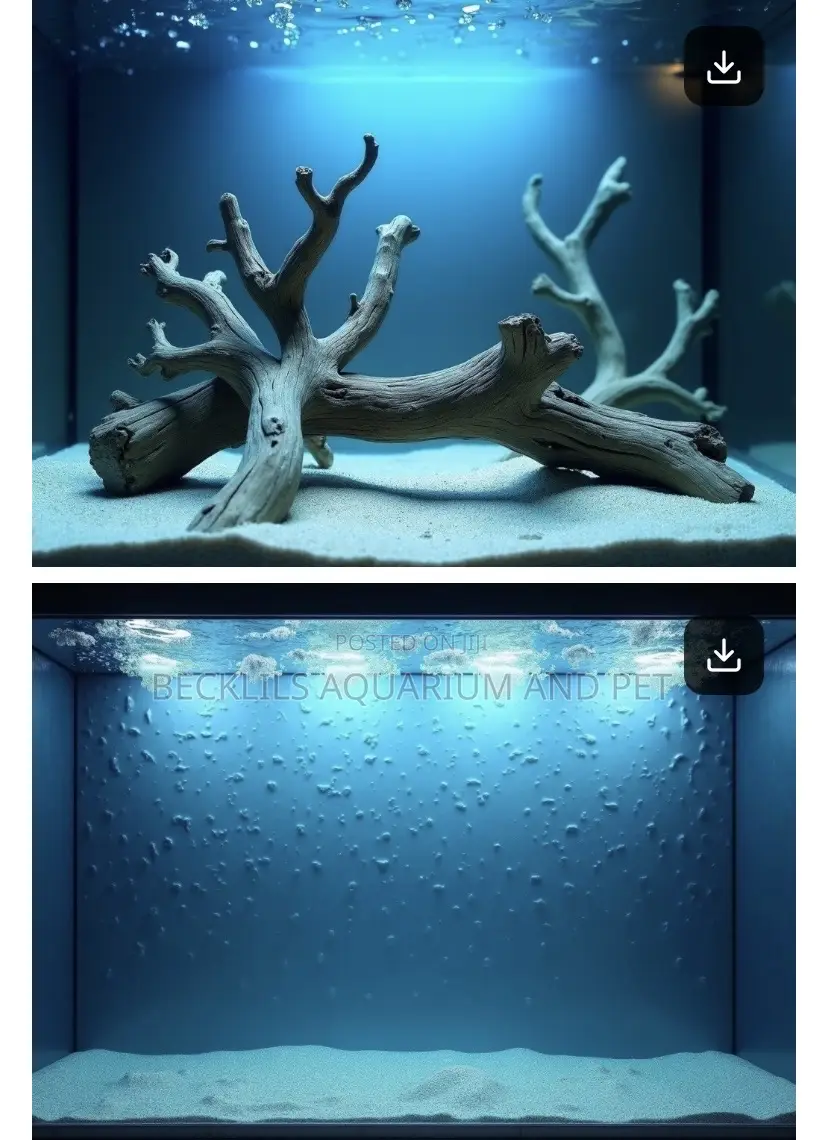 3d Aquarium Back Ground