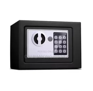 Safe Electric Safe