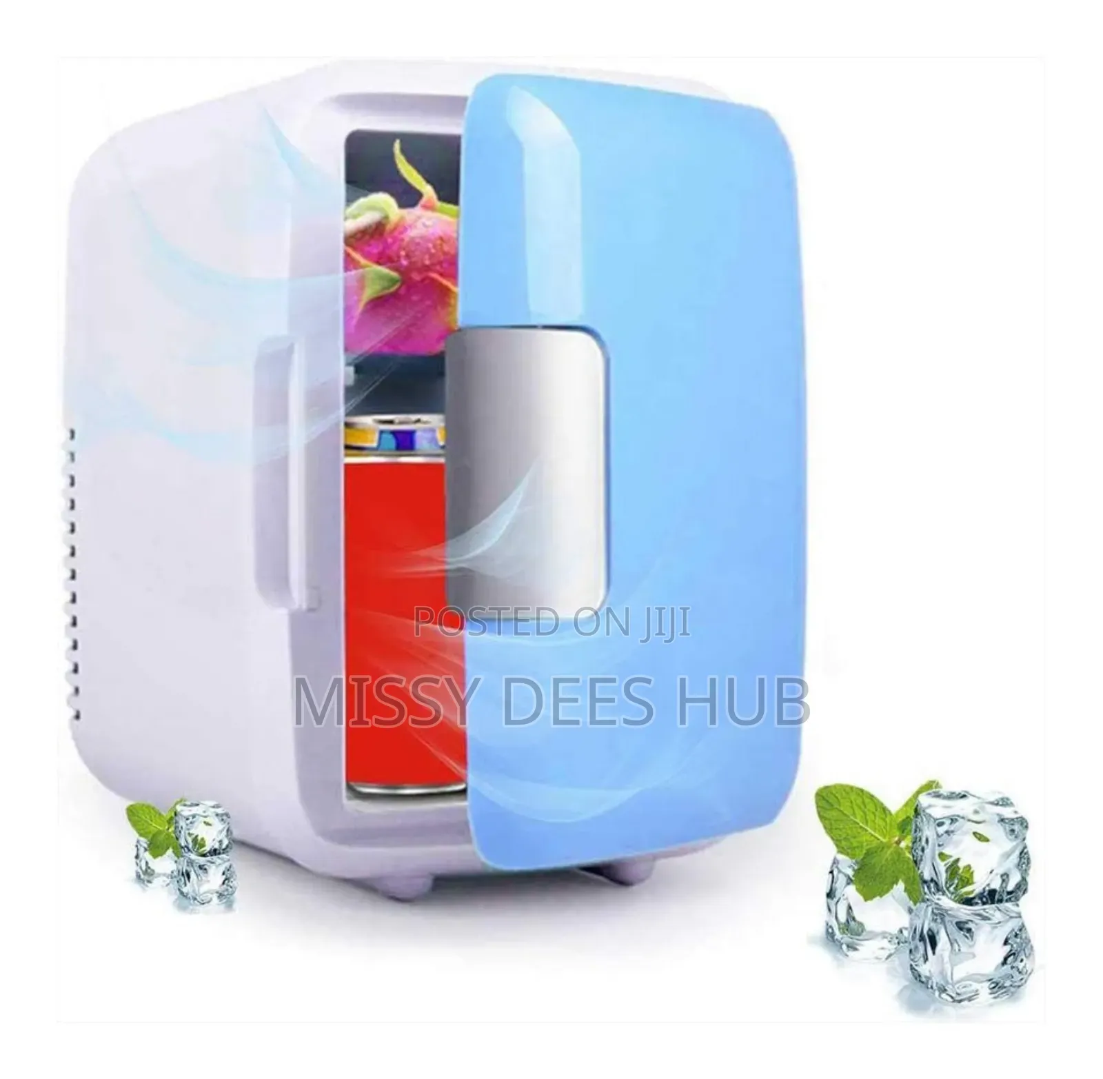 4l Mini Car Fridge