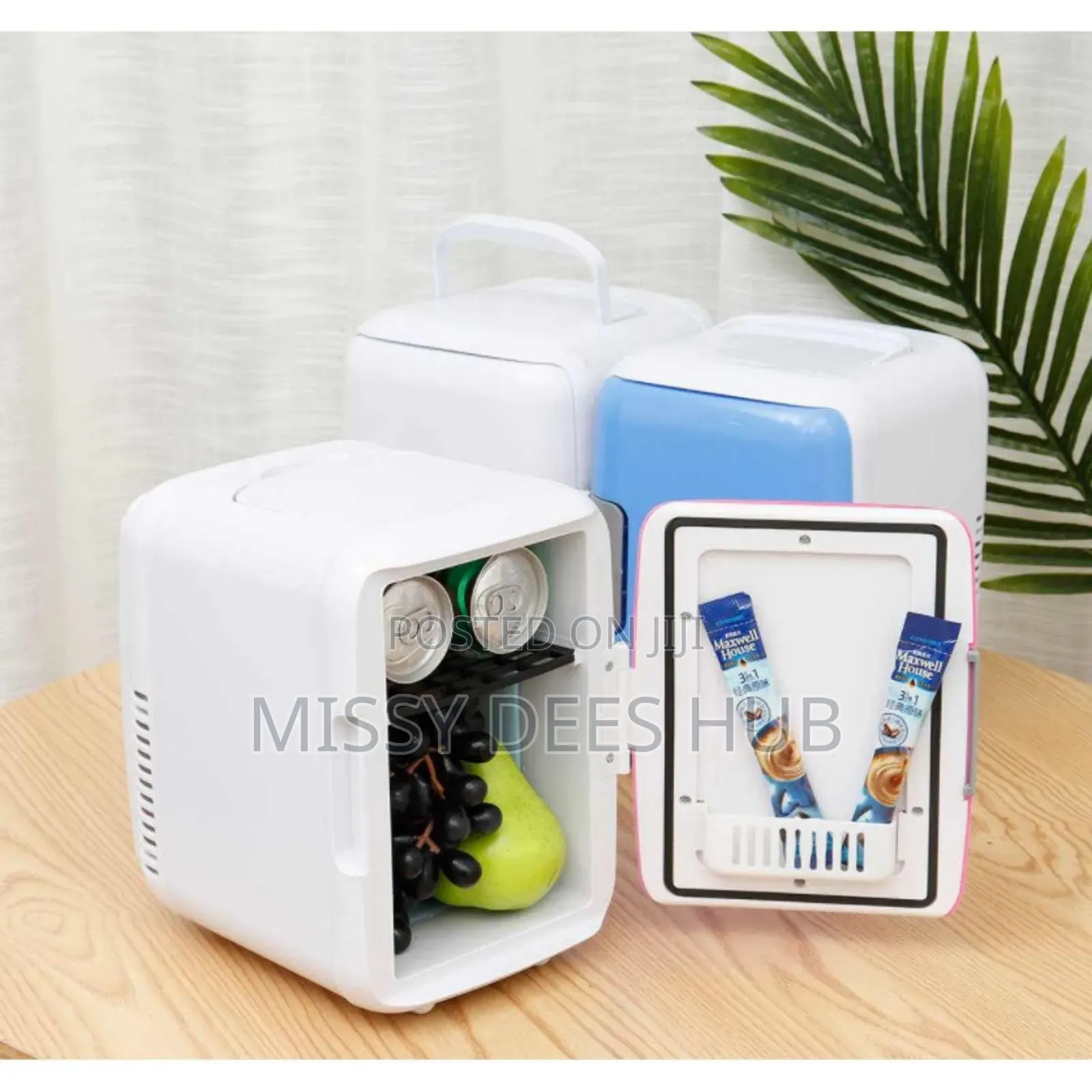 4l Mini Car Fridge