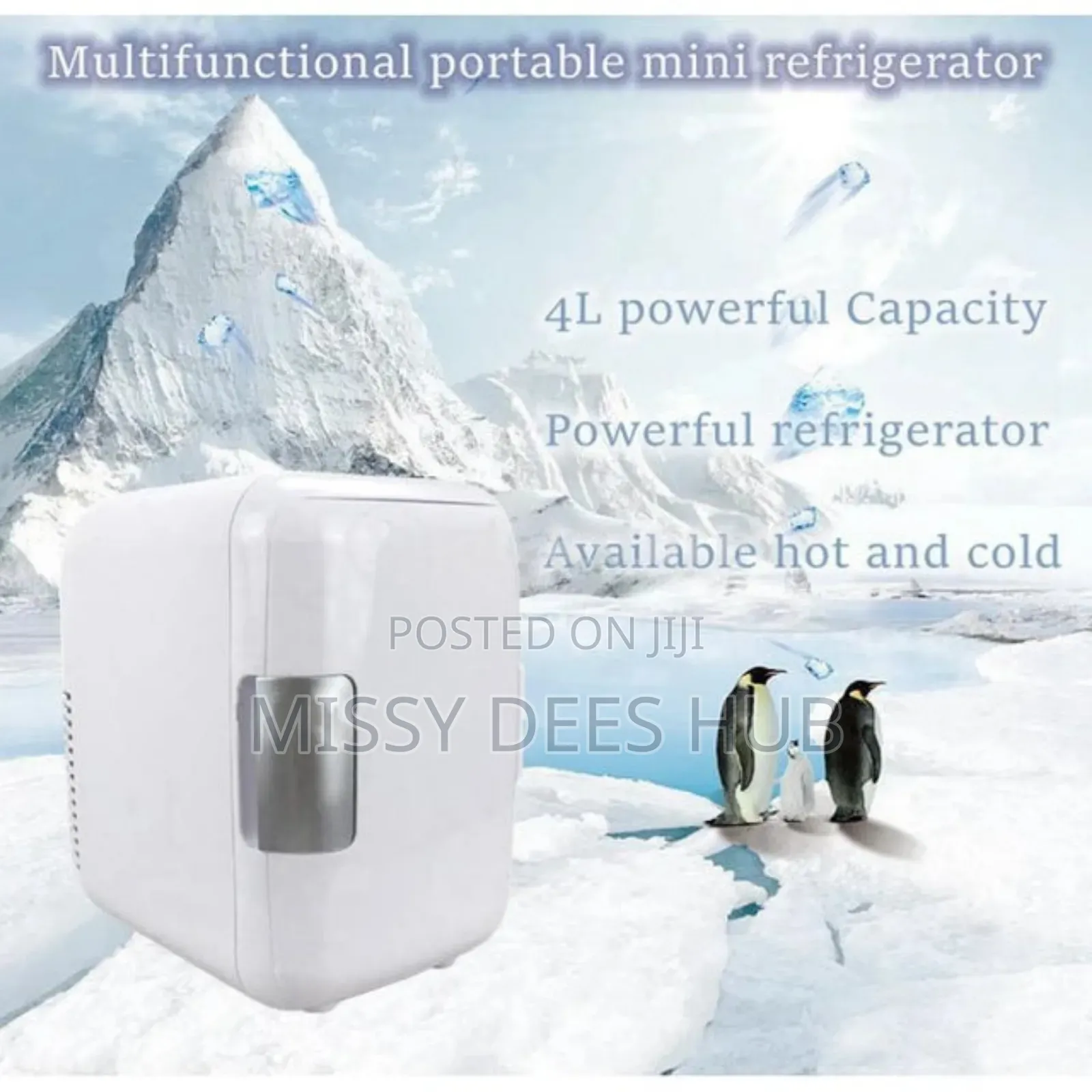 4l Mini Car Fridge