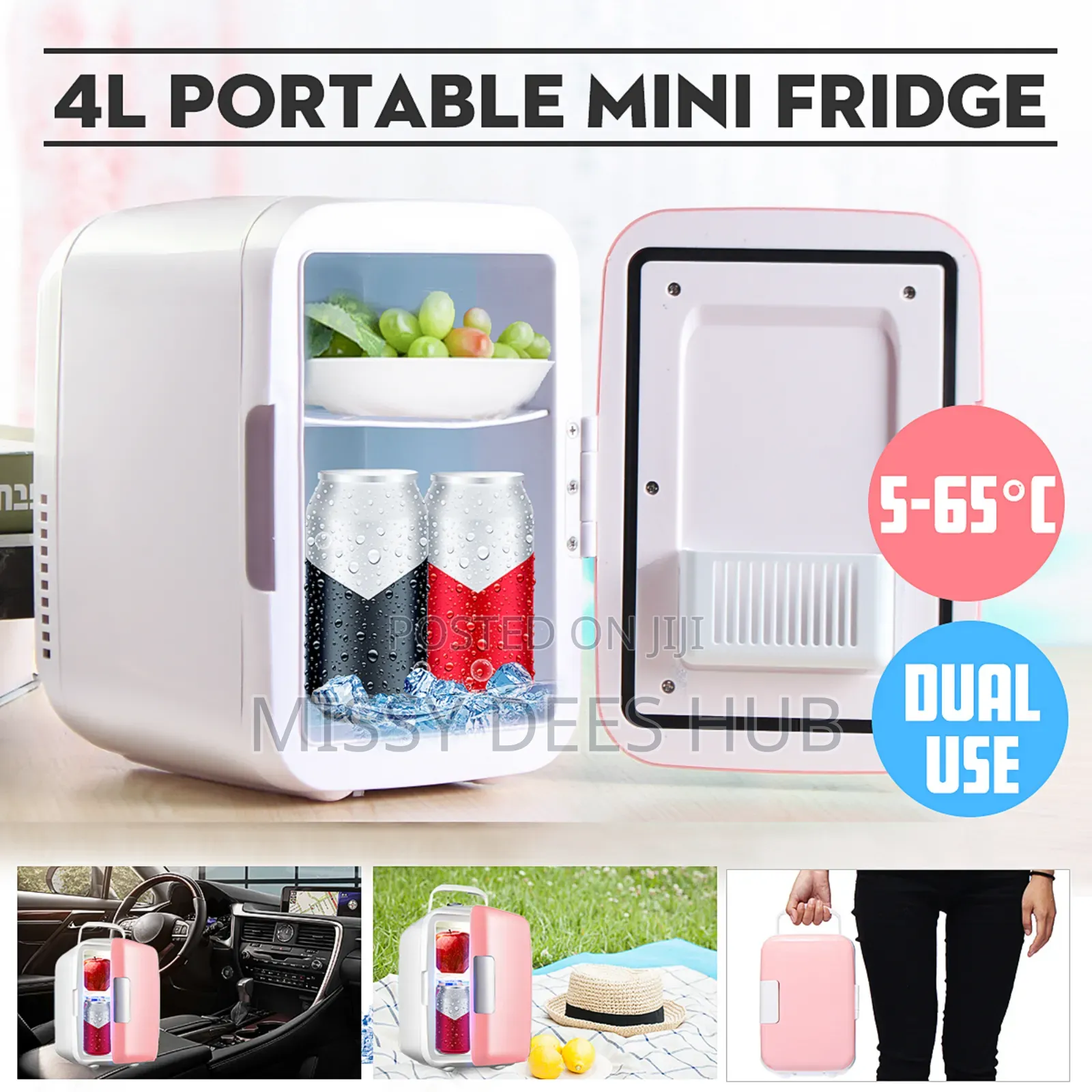 4l Mini Car Fridge