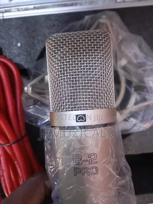 Behringer B-2 Pro Dual-Diaphragm Condenser Microphone