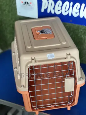 Plastic Crate /