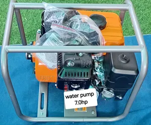 Submersible 2inches Ingco Water Pump