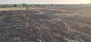 Unique Location Plot at Reduced Price - Prampram Beach Lane